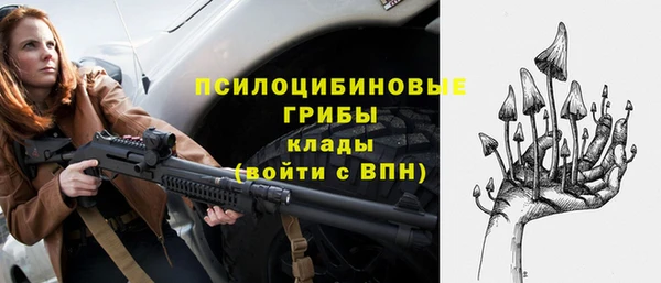 соль ск Алексеевка
