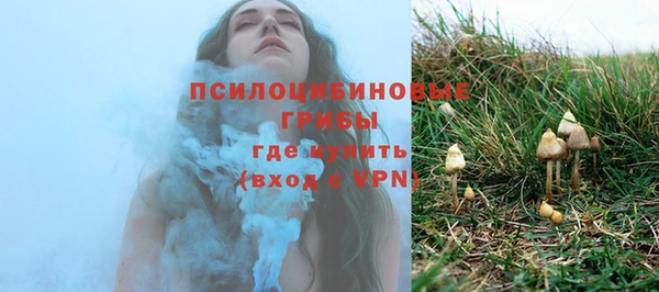 трава Арсеньев