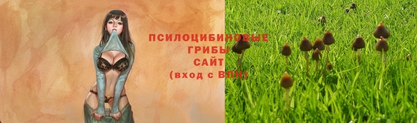 крисы Армянск