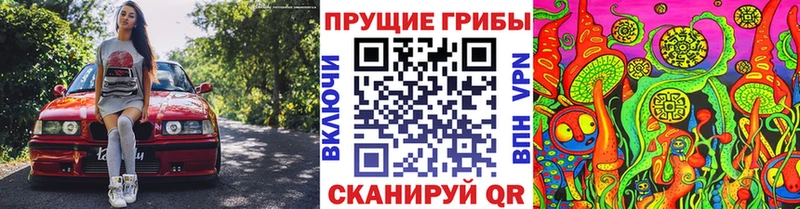 Галлюциногенные грибы Cubensis  Исилькуль 